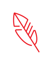 Luce pictogram
