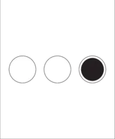 Use : PROFESSIONAL icon — 